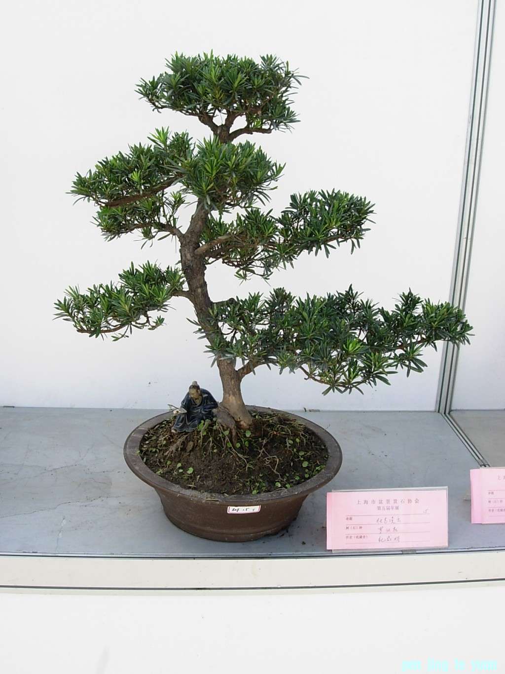 conew_dscn8238.jpg