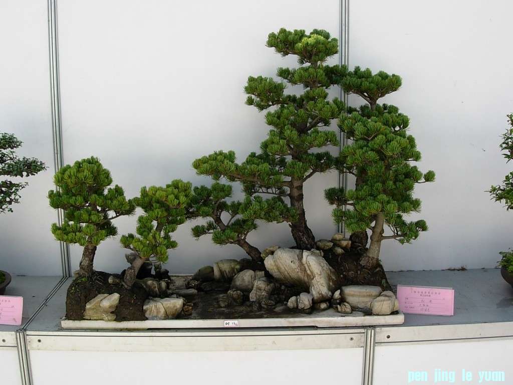conew_dscn8243.jpg