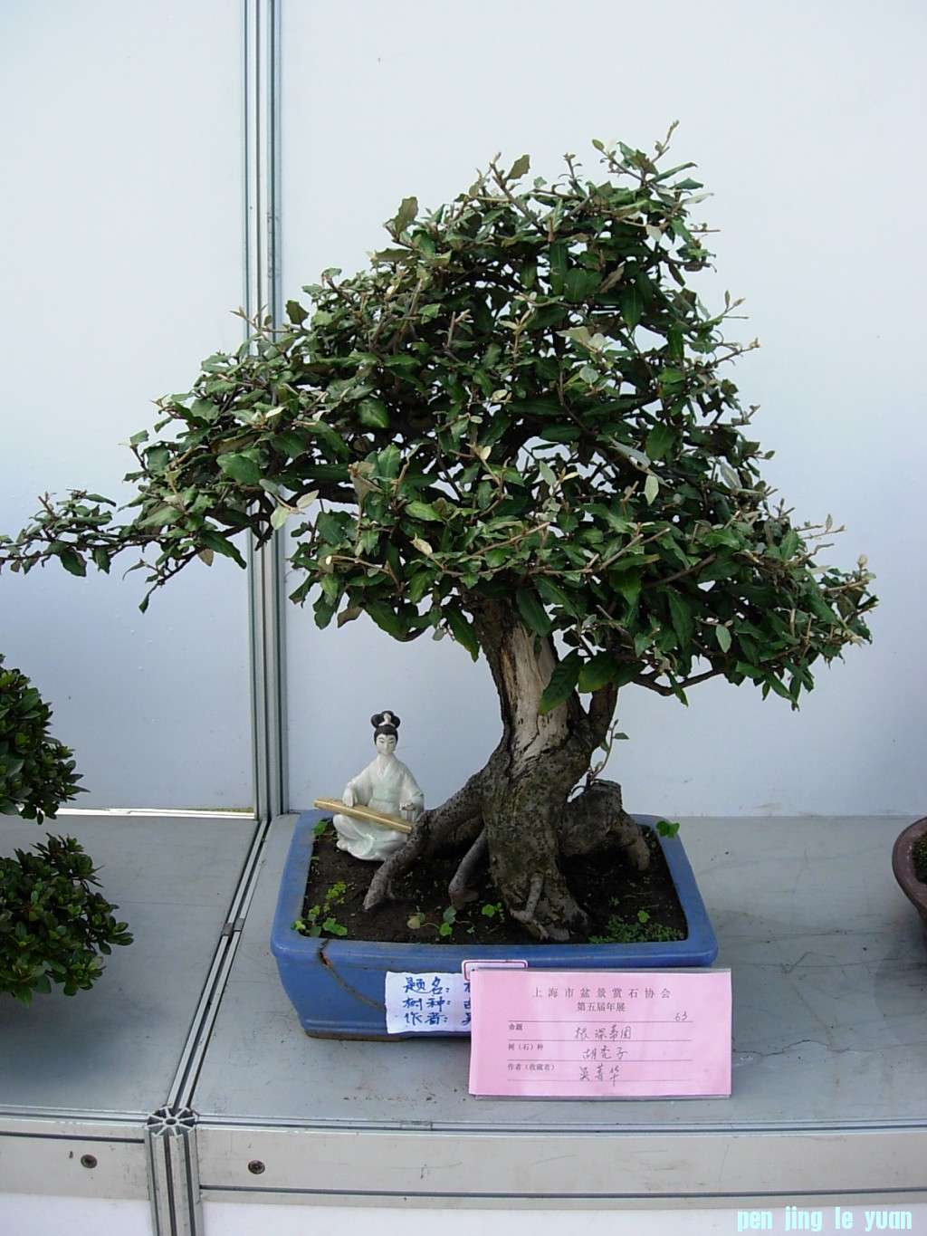 conew_dscn8245.jpg
