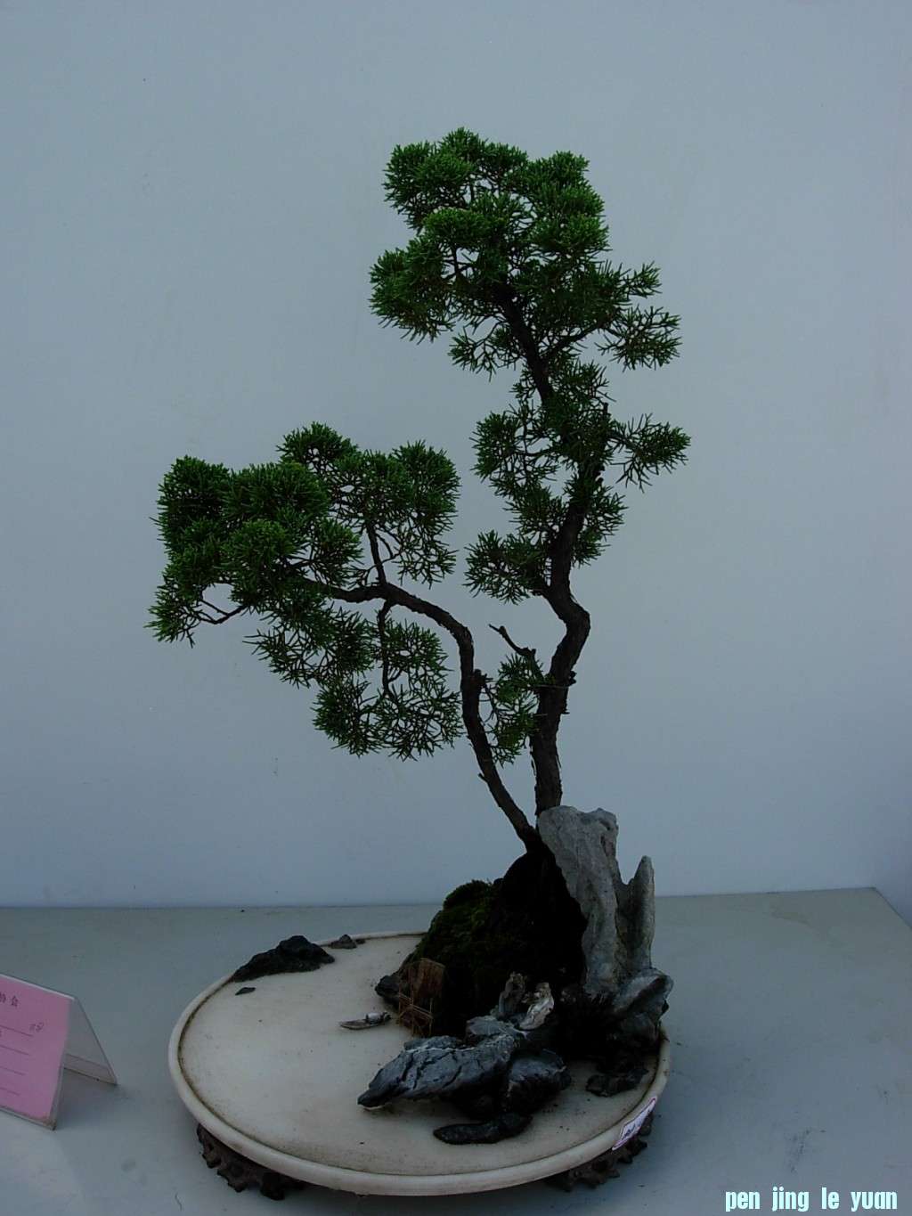 conew_dscn8248.jpg