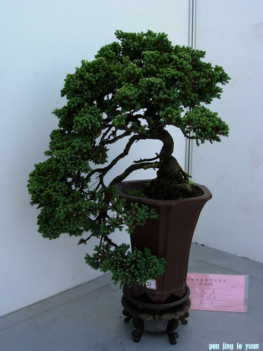 conew_dscn8252.jpg