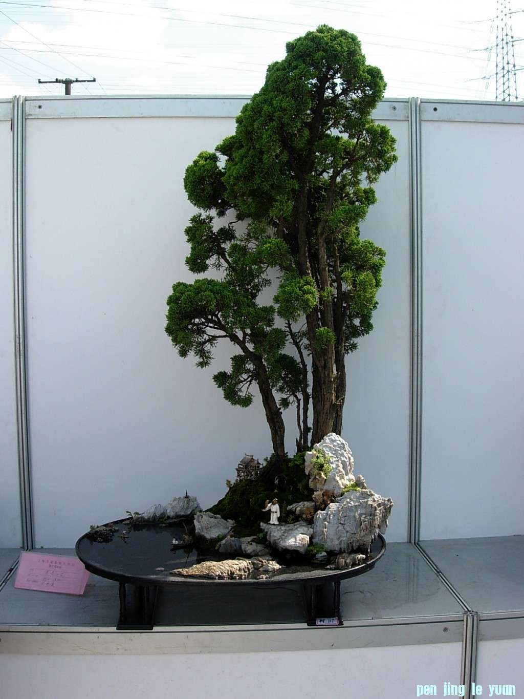 conew_dscn8253.jpg