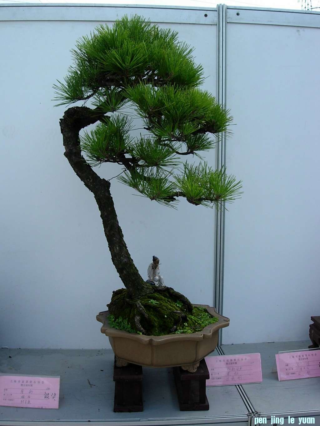 conew_dscn8255.jpg