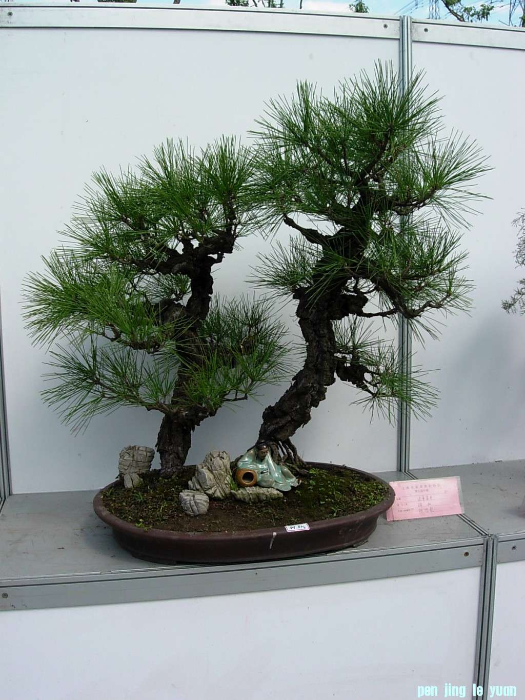 conew_dscn8263.jpg