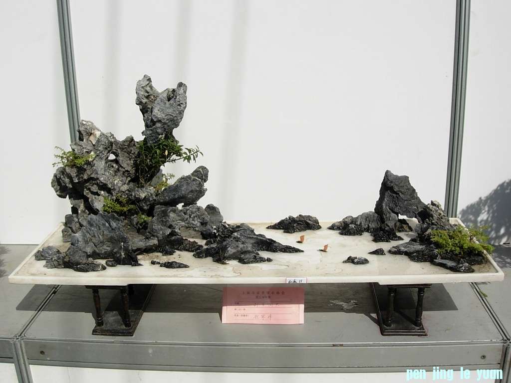 conew_dscn8270.jpg