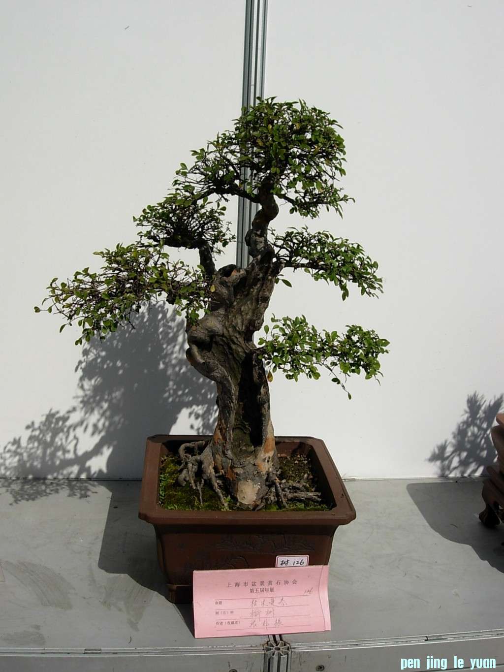 conew_dscn8272.jpg