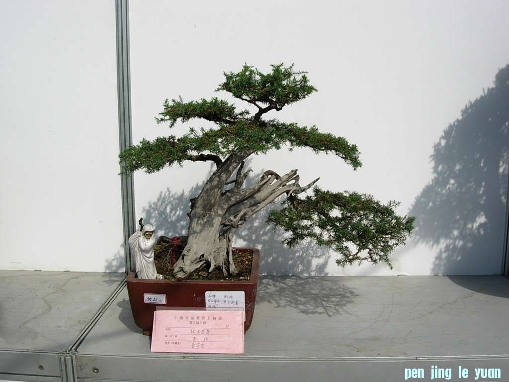 conew_dscn8283.jpg