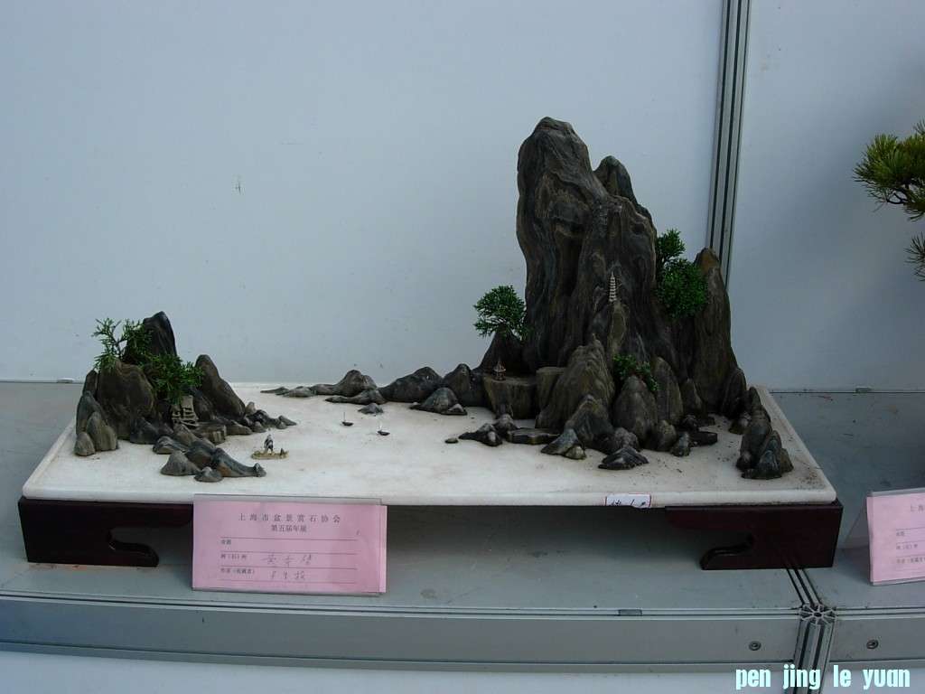 conew_dscn8289.jpg