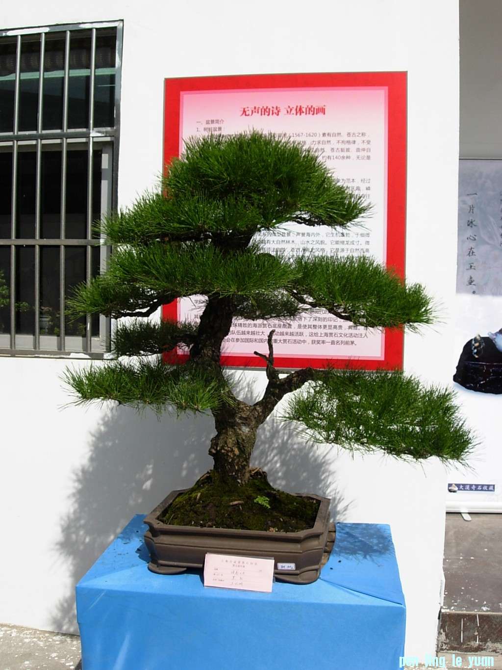 conew_dscn8292.jpg