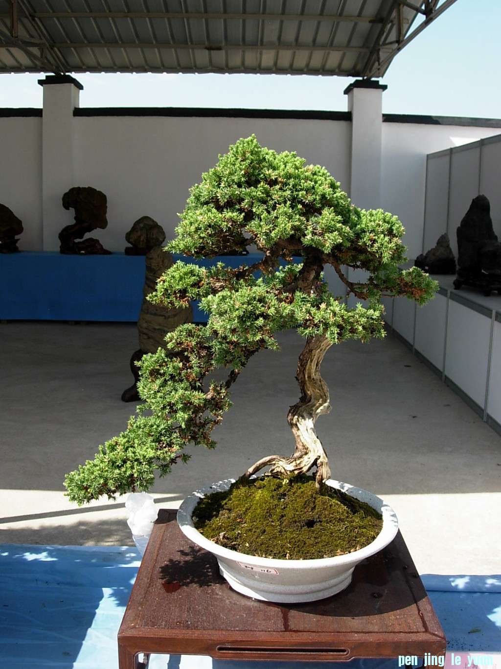 conew_dscn8294.jpg