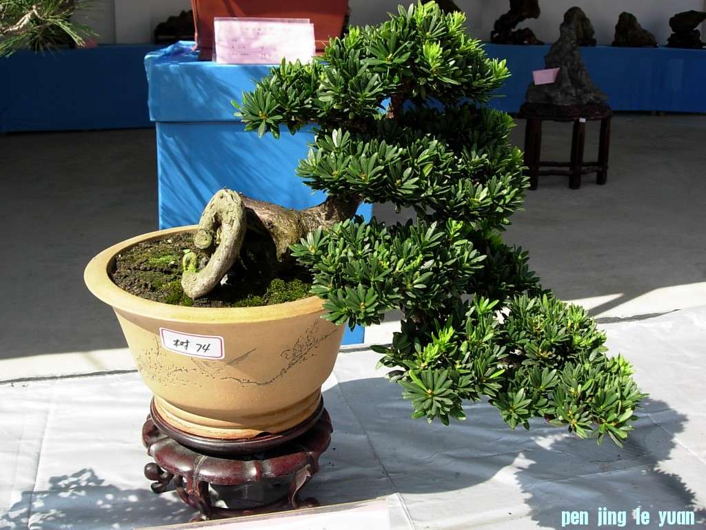 conew_dscn8300.jpg