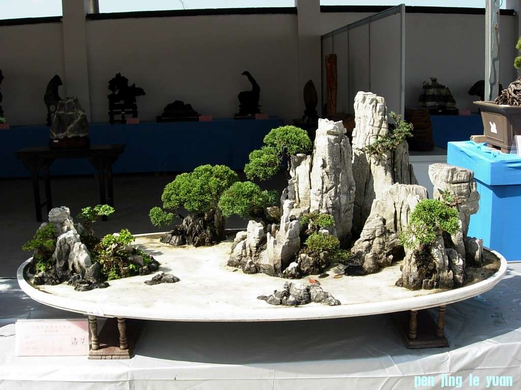 conew_dscn8306.jpg
