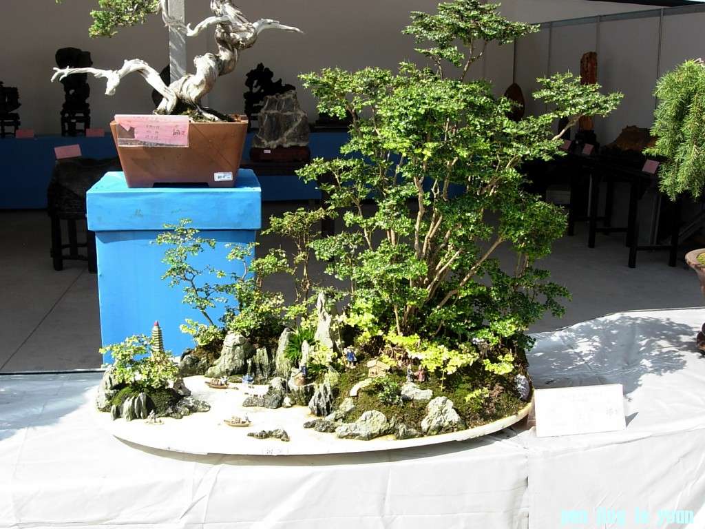 conew_dscn8308.jpg