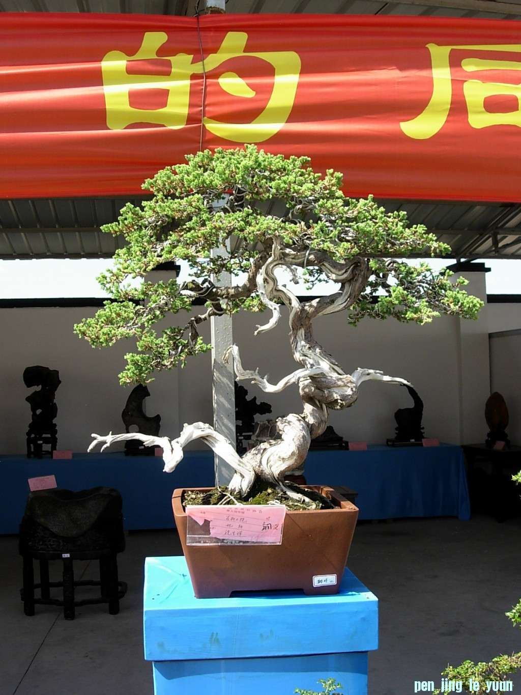 conew_dscn8315.jpg