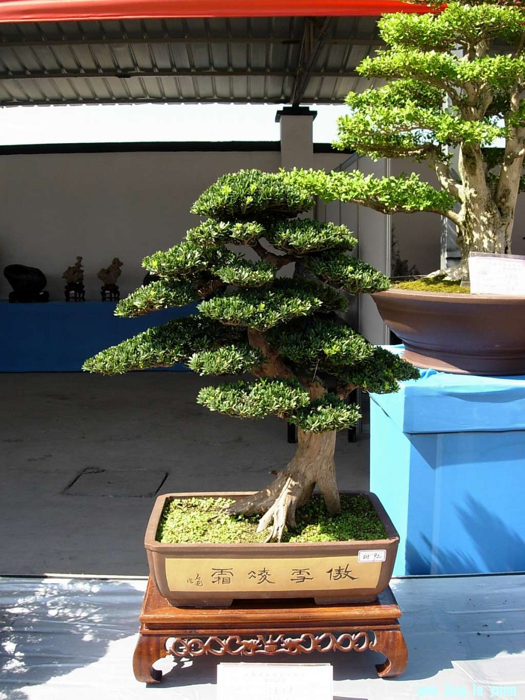 conew_dscn8323.jpg