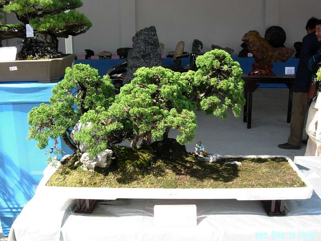 conew_dscn8329.jpg