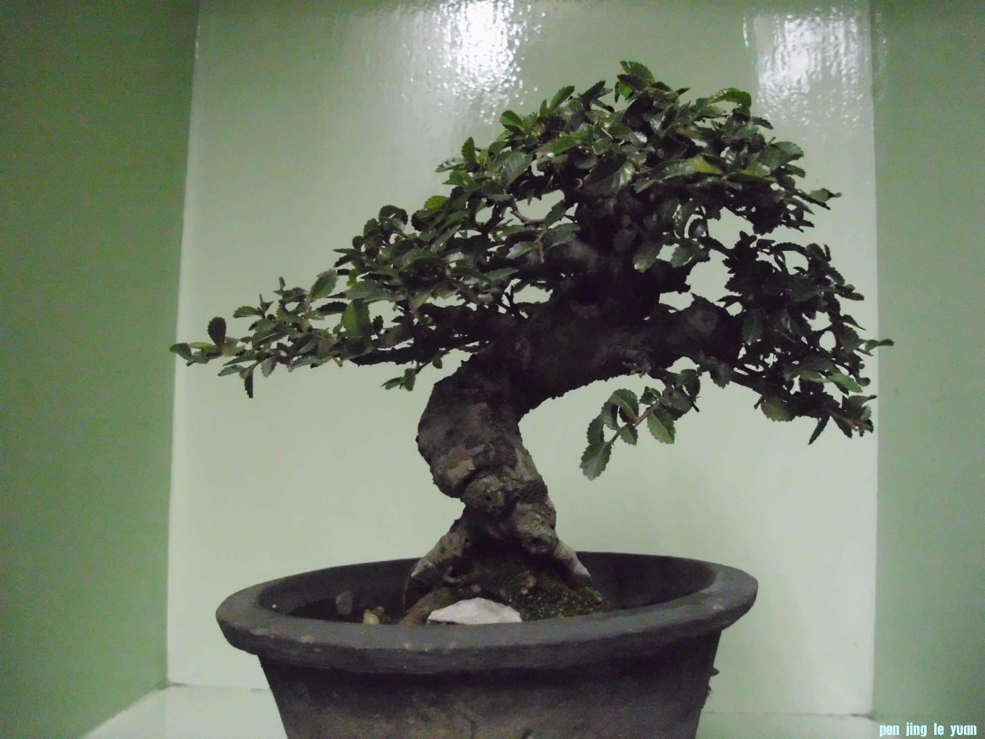DSCI0934.JPG