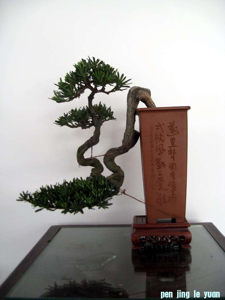 Ƭ 15389.jpg
