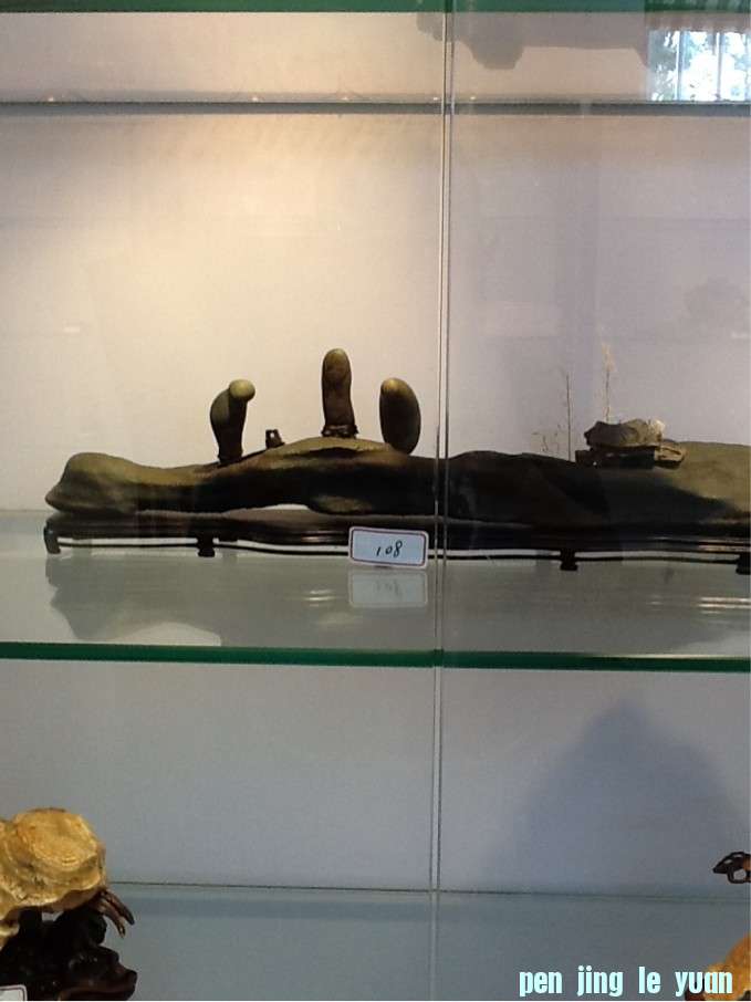 δ14.jpg
