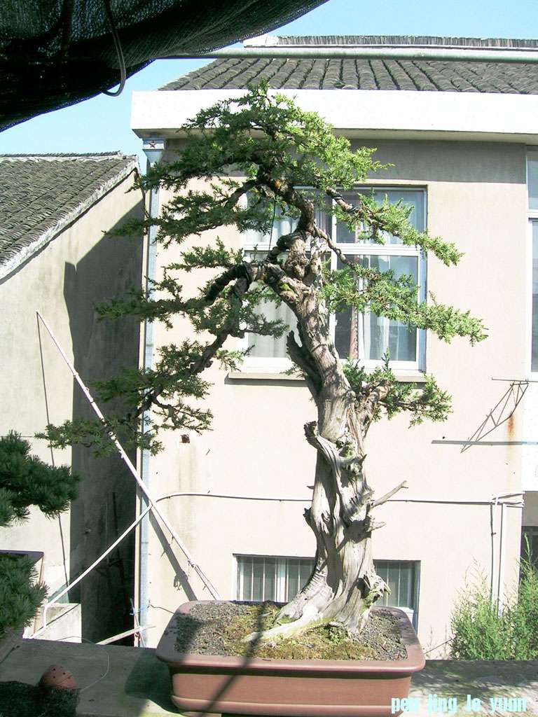 DSCN8945.JPG
