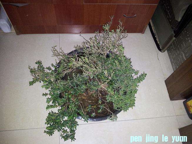 20120930_125330.jpg