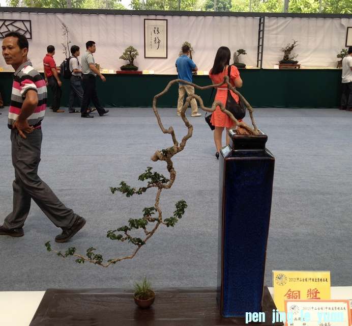 辰ͨչ 636.jpg