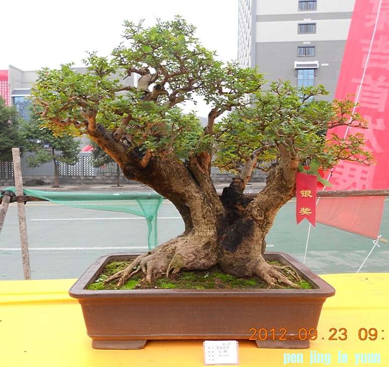 辰ʯչ[14].jpg
