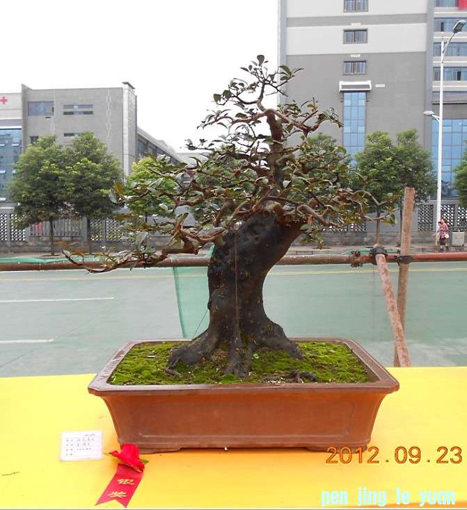 辰ʯչ[16].jpg