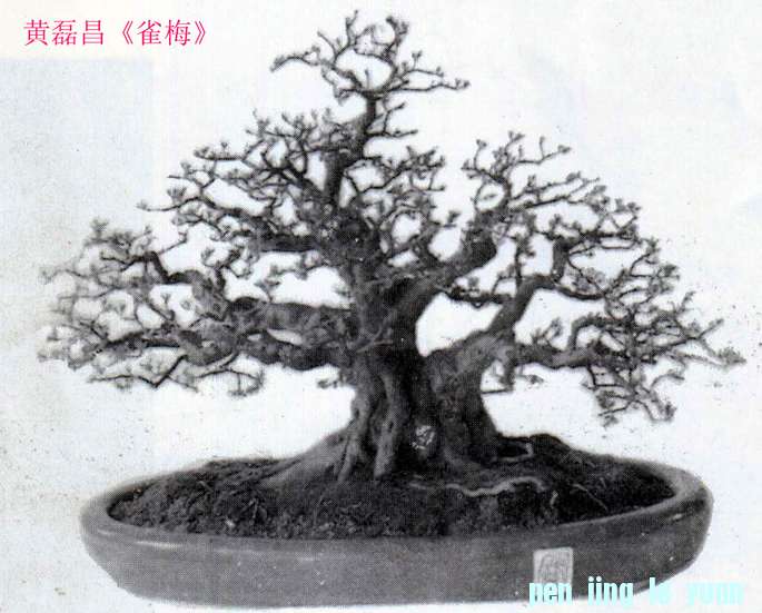 ڲȸ÷3.jpg