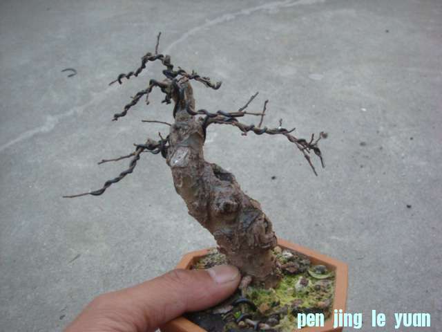 DSC05018.JPG