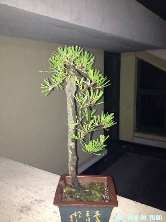 δ.jpg