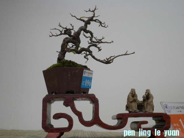 P1000181.JPG