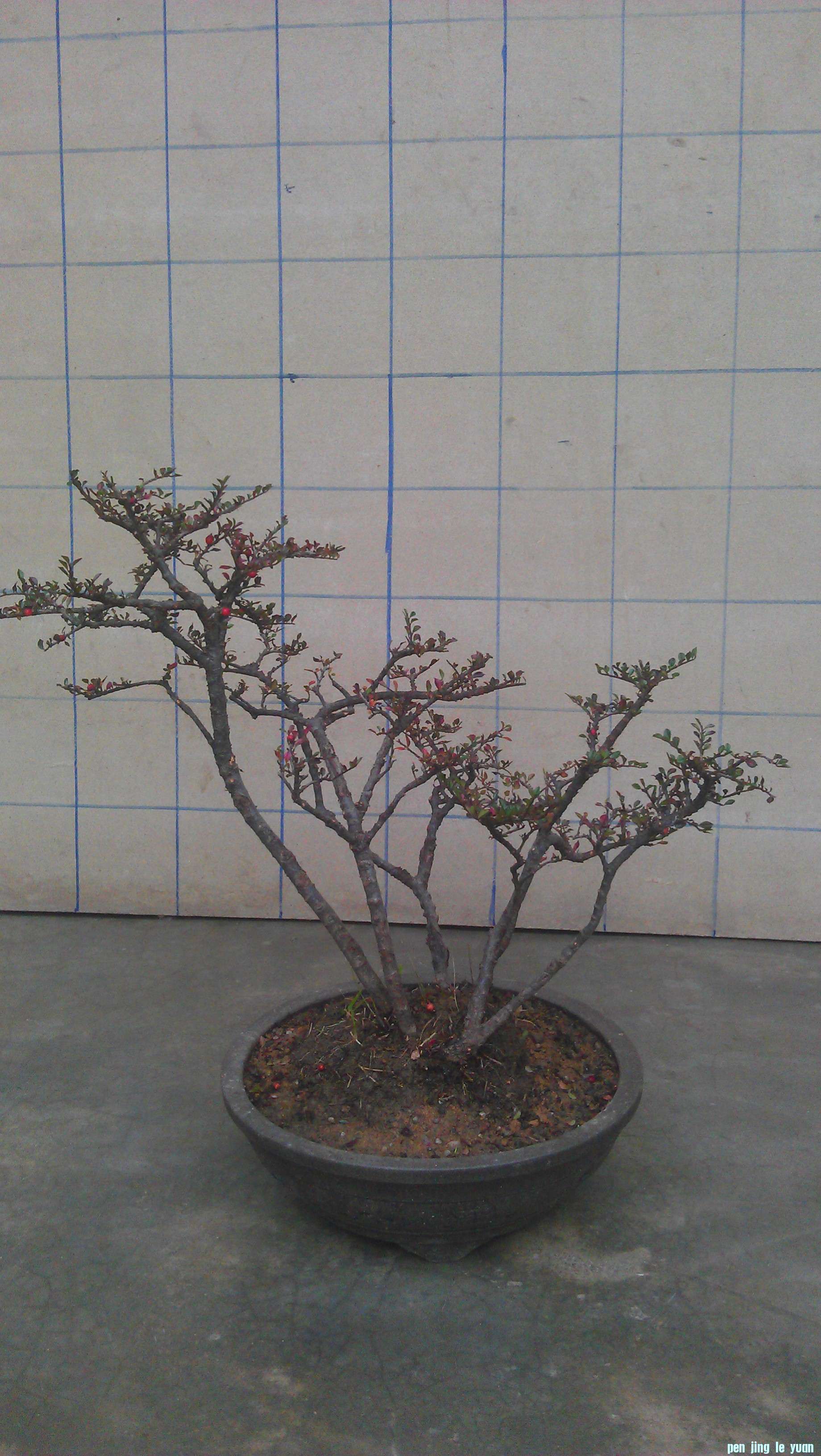 IMAG0450.jpg