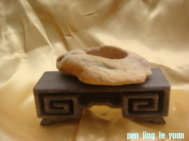 DSC05057.JPG