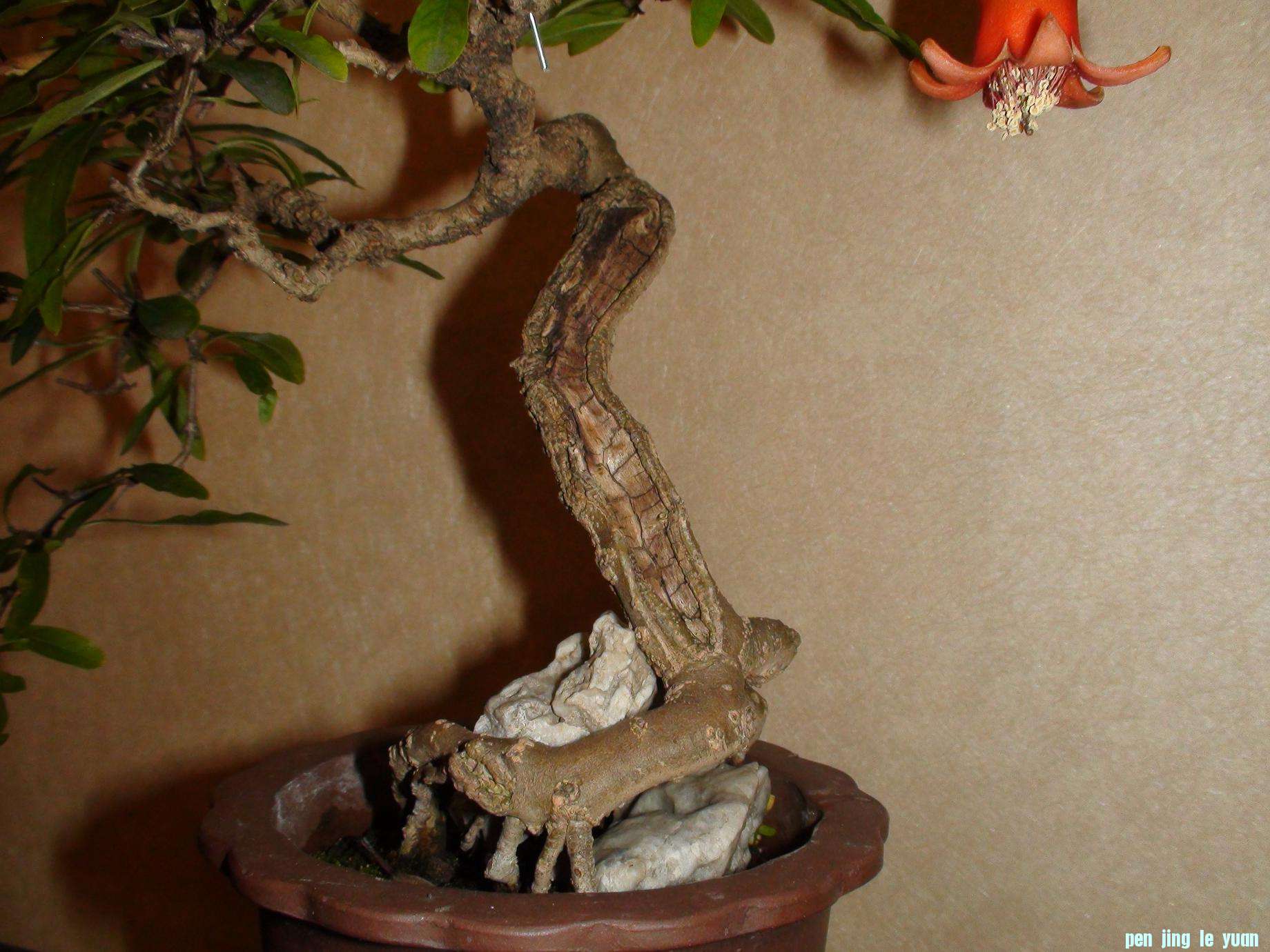DSC00785.JPG