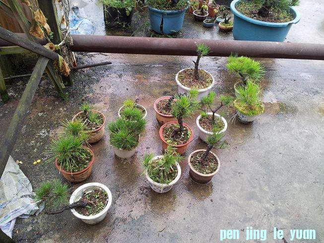 20000101_200442.jpg