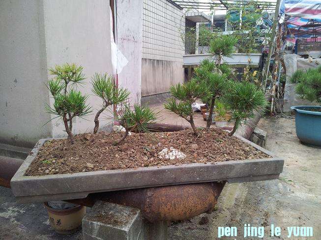 20121003_101132.jpg