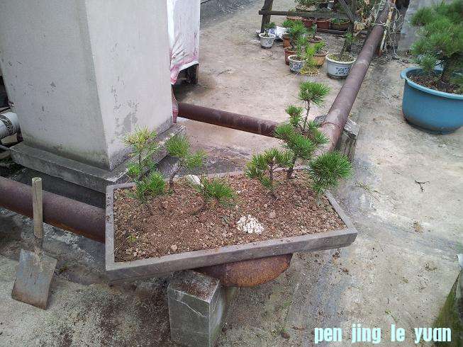 20121003_101139.jpg