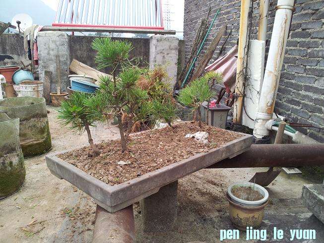20121003_101156.jpg
