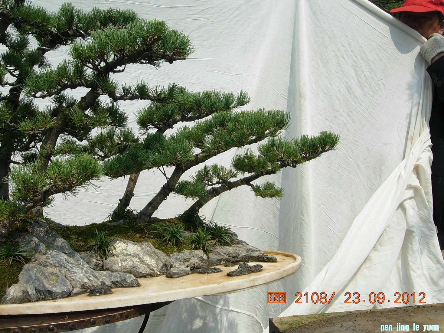 DSCN6366.JPG
