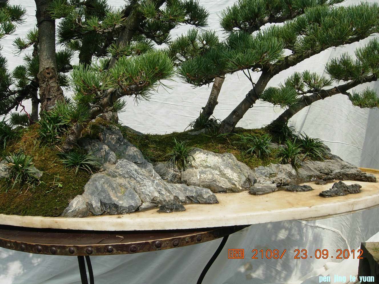 DSCN6367.JPG