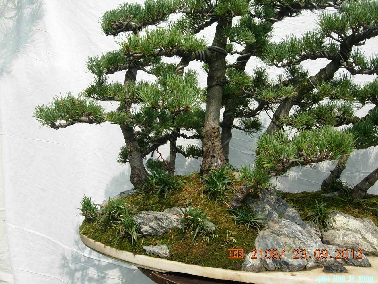 DSCN6368.JPG