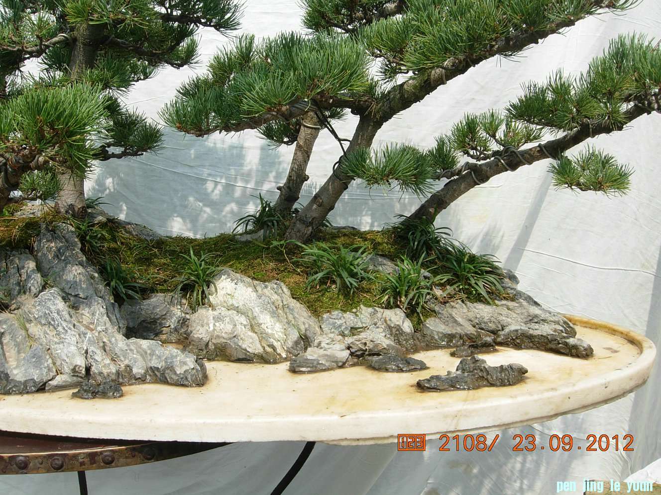 DSCN6369.JPG