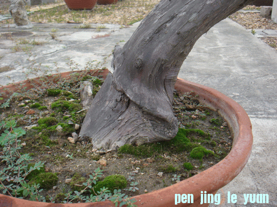 DSC06187.gif