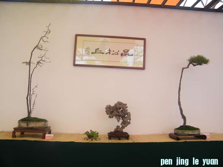 nEO_IMG_ɽչ 282.jpg