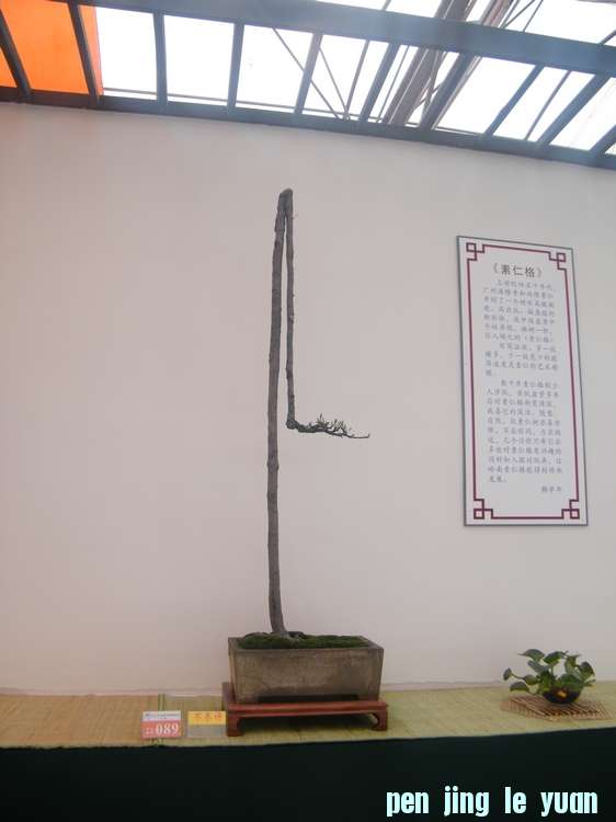 nEO_IMG_ɽչ 281.jpg