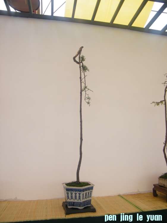 nEO_IMG_ɽչ 283.jpg