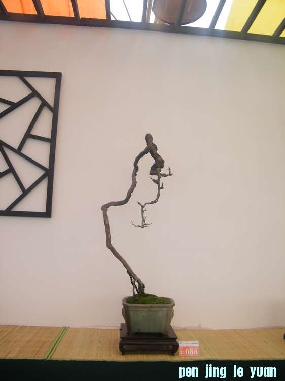 nEO_IMG_ɽչ 284.jpg