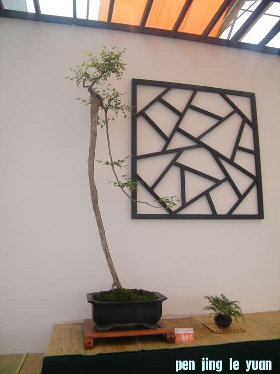 nEO_IMG_ɽչ 285.jpg