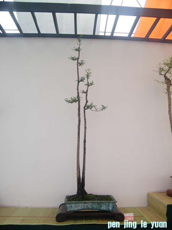 nEO_IMG_ɽչ 286.jpg